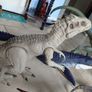 Jurassic world dinosaurs Image 2