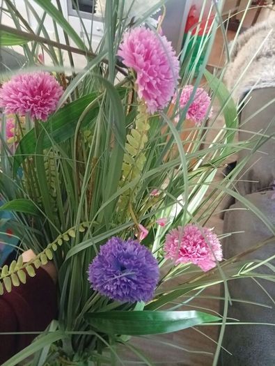 flowers