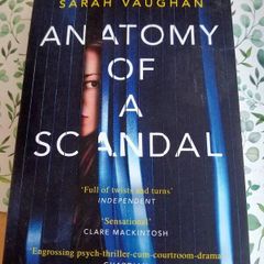 Anatomy of a Scandal book