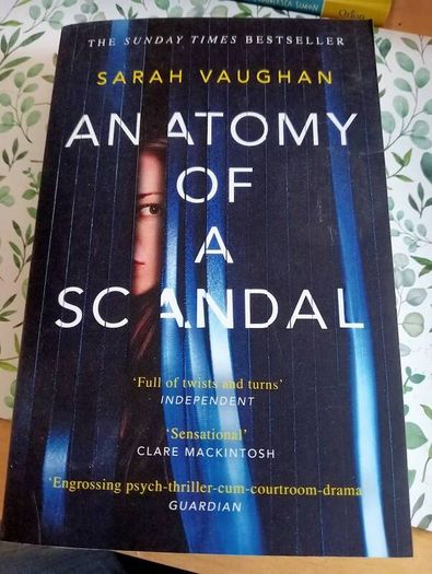 Anatomy of a Scandal book