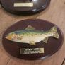 fishermans tale plaques Image 2