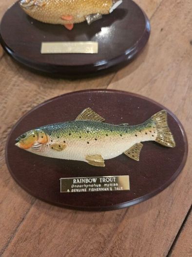 fishermans tale plaques