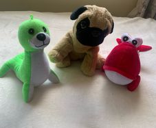 Bundle of Soft Teddys