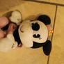 teddy Image 8
