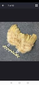 Angel wings and headband