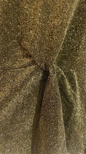 Savida gold glitter top