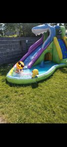 shark pool