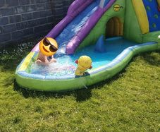 shark pool
