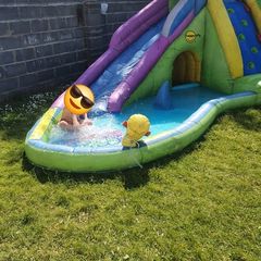shark pool