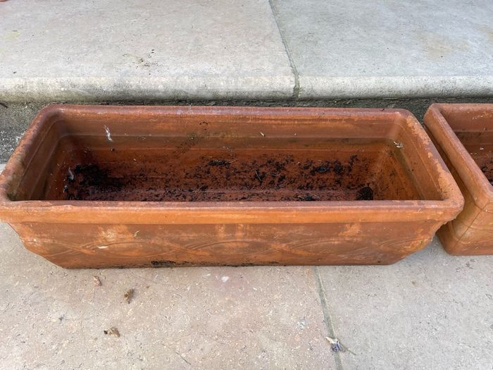 Terracotta plant pots