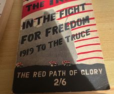 The IRA in the Fight for Freedom 1919 to the Truce
