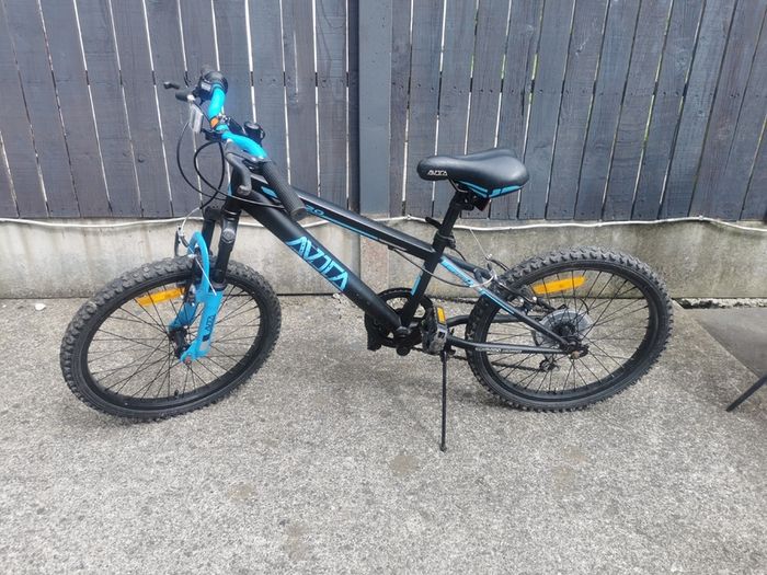 Boys Mountain Bike