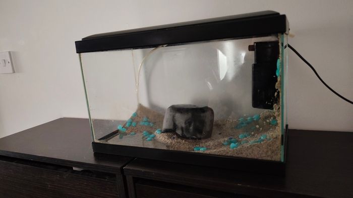 Small fish tank