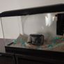 Small fish tank Image 2