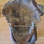 Brass door knocker Image 3
