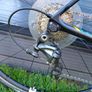 Giant TCR Advanced Road Bike Image 6