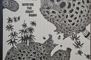 The Shins -  Wincing The Night Away.