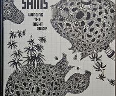 The Shins -  Wincing The Night Away.