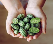 Cucamelon seeds