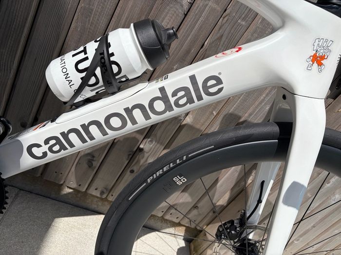 Cannondale Synapse 2025 size 51 (S)