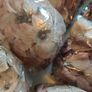 brown beige mixed artificial flowers heads faux fake Image 3