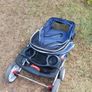 dog buggy Image 2