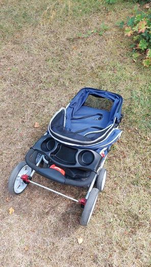 dog buggy