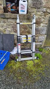 extendable ladder
