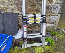 extendable ladder
