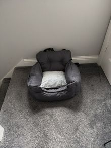 Dog car seat brand new