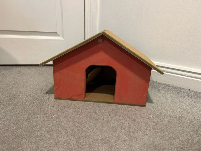 Wooden house