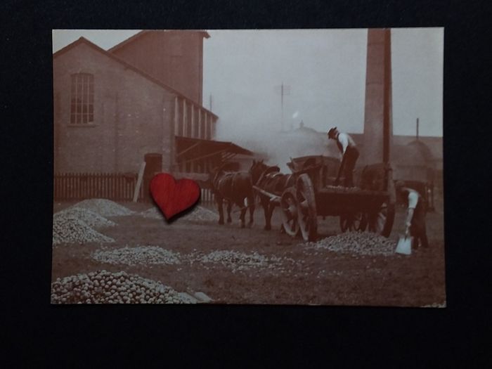 Collecting The Cider Apples For Bulmers 1908 Herefordshire - Museum of Cider Postcards