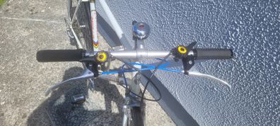 Vintage Bicycle
