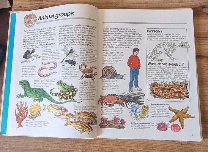 children book