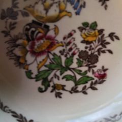 Alfred Meakin Jerome Hand  Painted