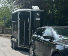 Ifor Williams 506 horsebox