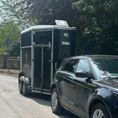 Ifor Williams 506 horsebox