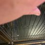 bird cage Image 5