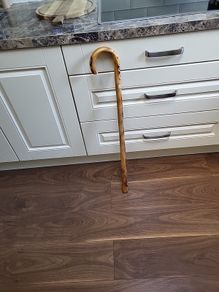 Walking stick French
