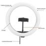 29144 10" LED Ring Light for Phone Camera Live Makeup Video Image 6
