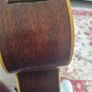 Takamine EN20 , vintage[1986] Image 2