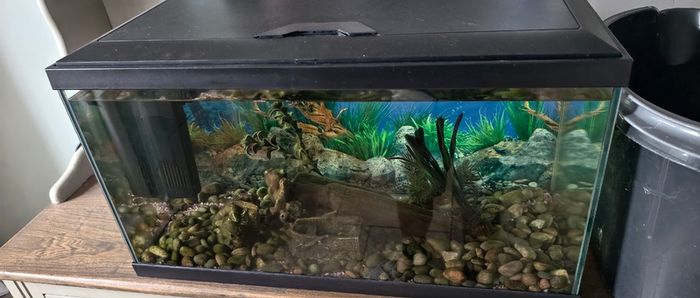 Leddy Black Tropical Aquarium 54L 60cm