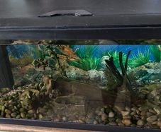 Leddy Black Tropical Aquarium 54L 60cm