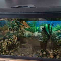 Leddy Black Tropical Aquarium 54L 60cm