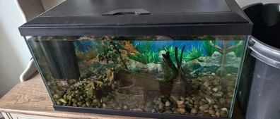 Leddy Black Tropical Aquarium 54L 60cm