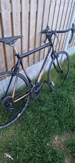 Large road bike ( serviced ) ( delivery )