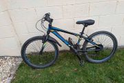 Kids Mountain Bike