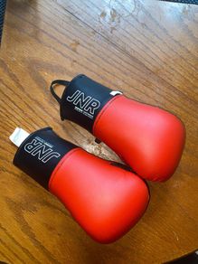 boxing gloves/ martial arts