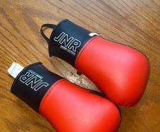 boxing gloves/ martial arts