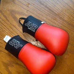 boxing gloves/ martial arts